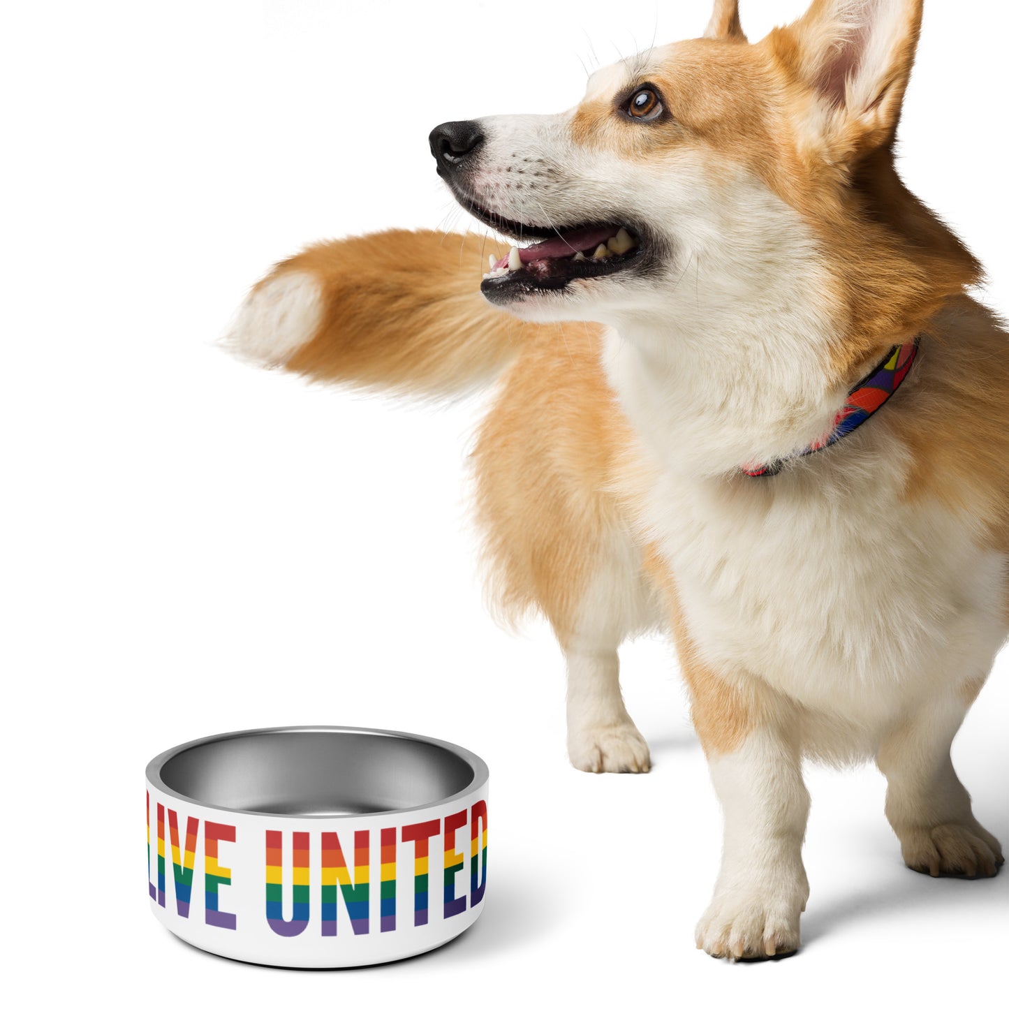 Live United Pride Pet bowl